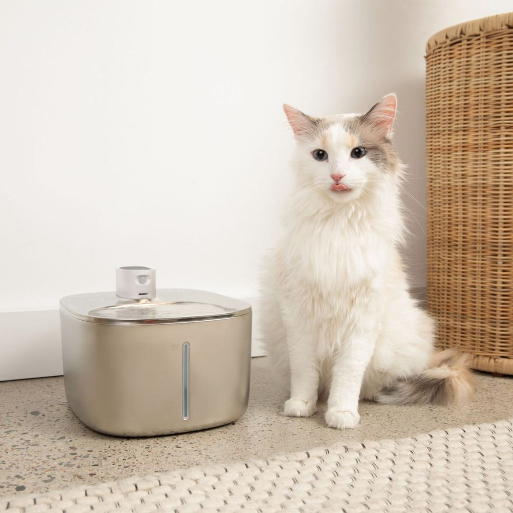 ZuiverPoot – Stromend, gefilterd water voor een gezondere kat